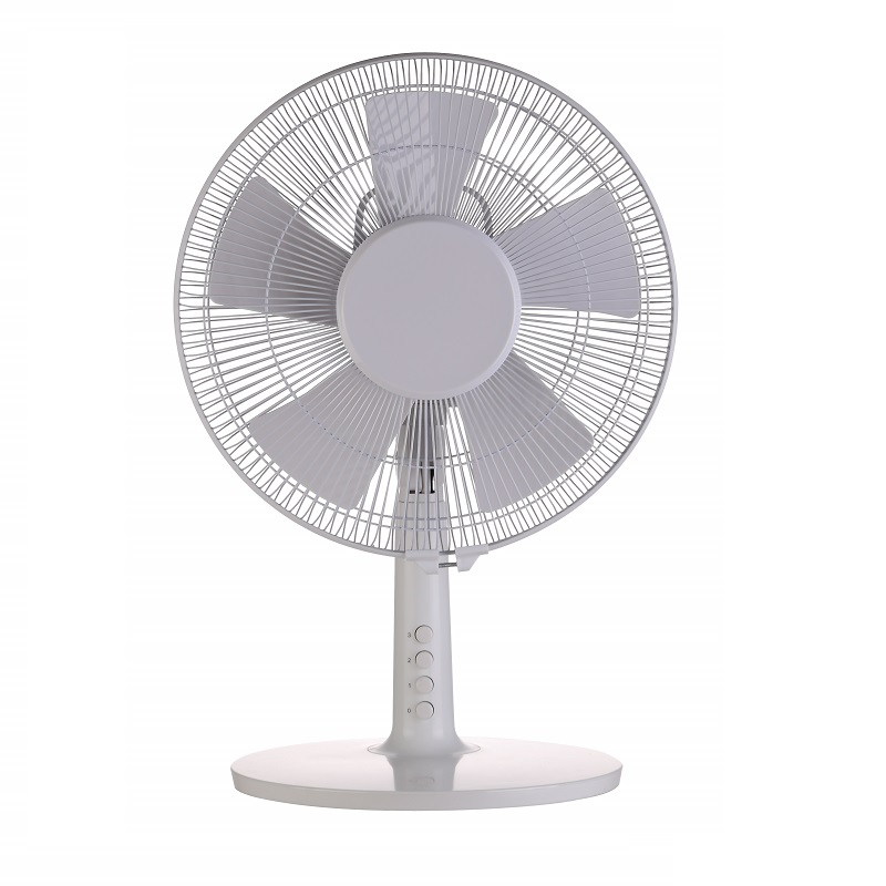 fan